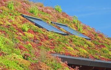 Monks Heath living roof systems